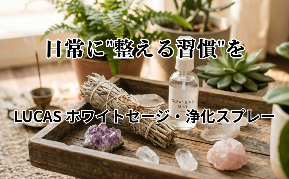 LUCASアイキャッチ