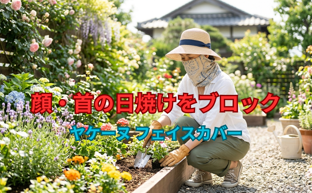 ヤケーヌアイキャッチ